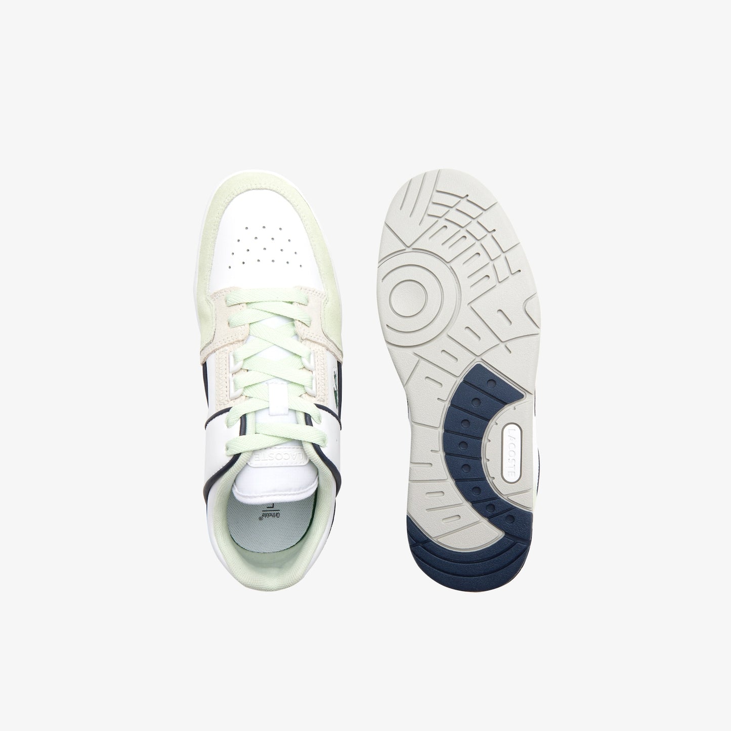 Lacoste CourtCage white green