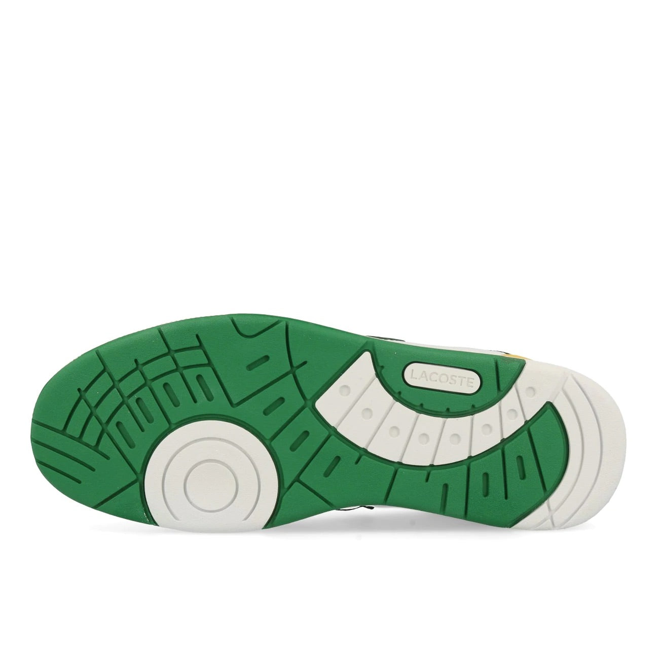 Lacoste CourtCage white green