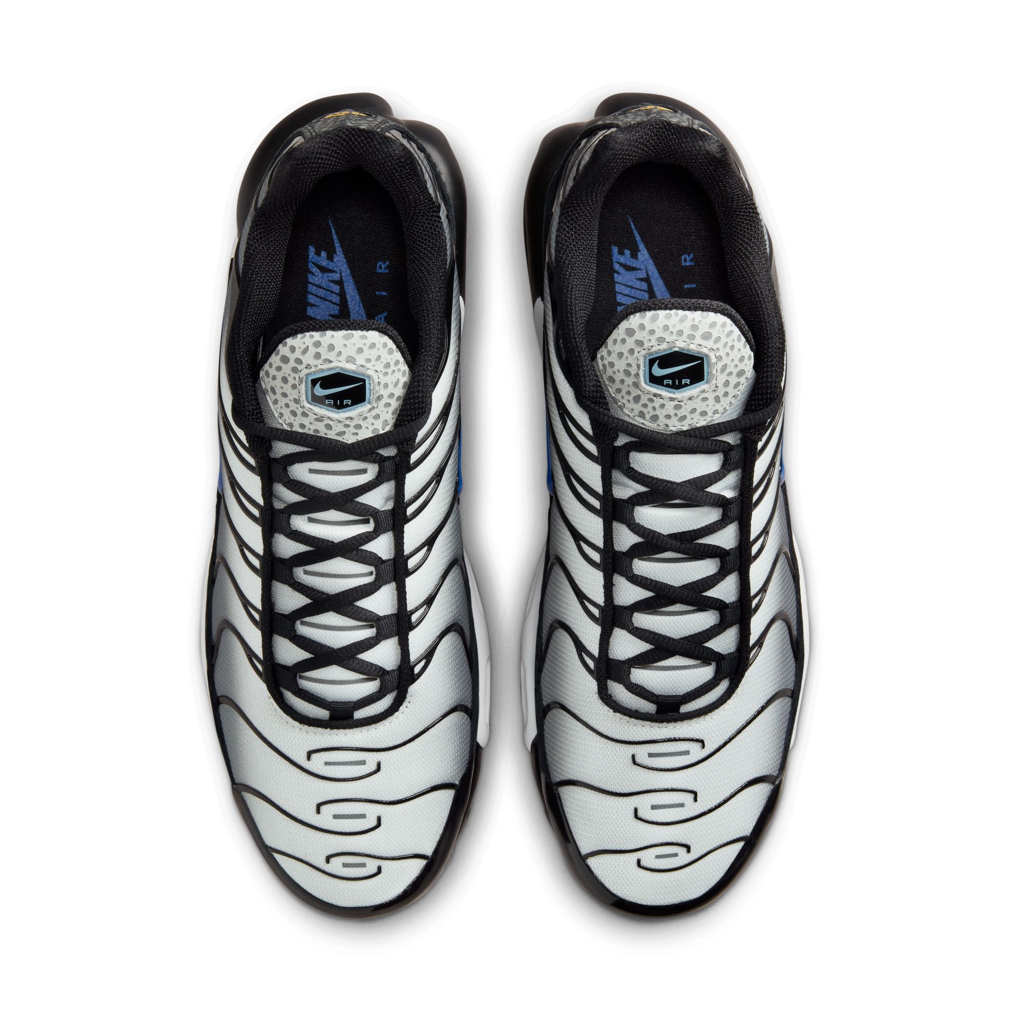 Blue and grey tns online